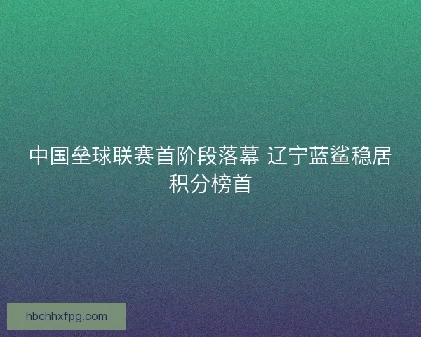 中国垒球联赛首阶段落幕 辽宁蓝鲨稳居积分榜首